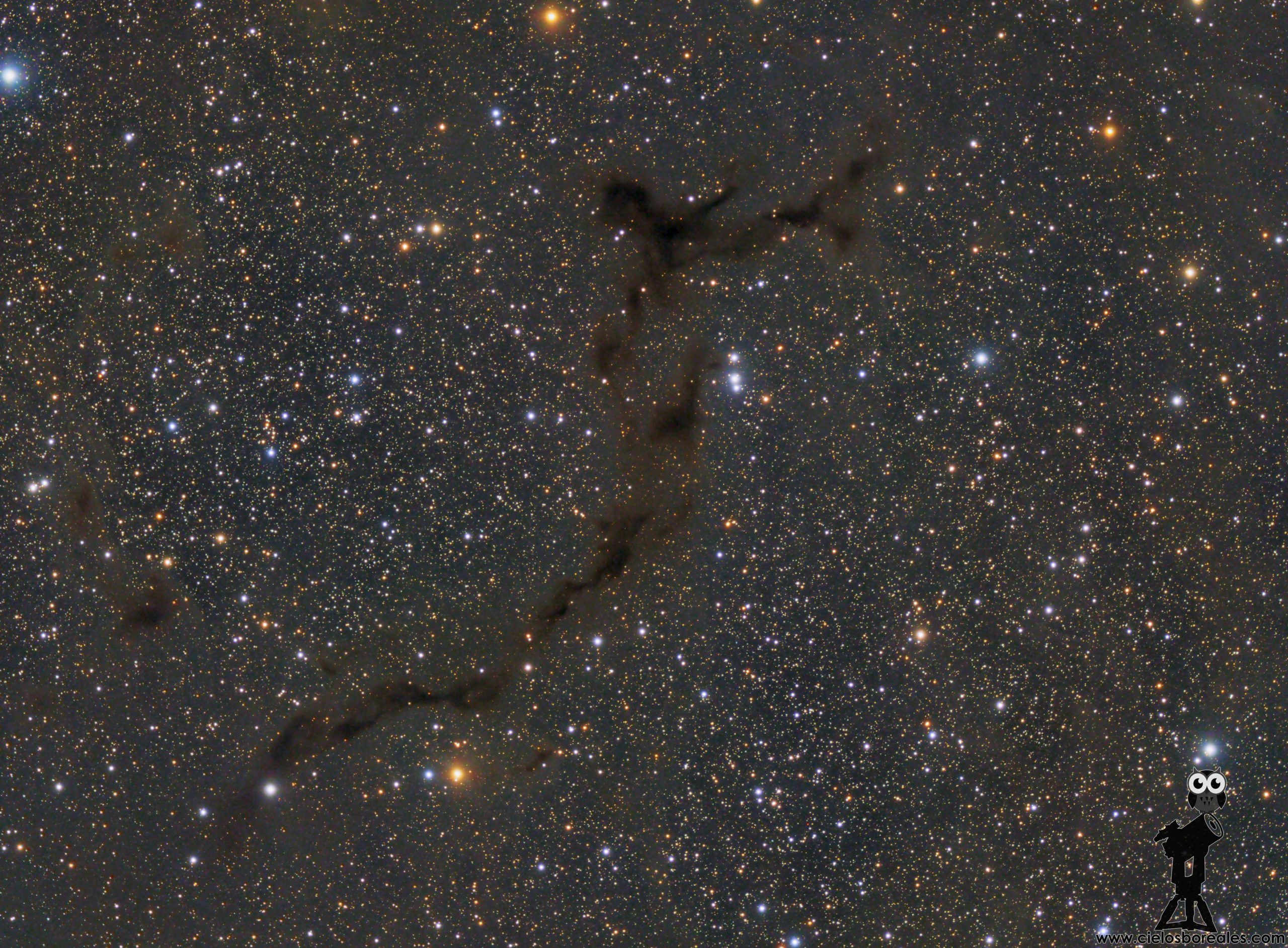 B150 Nebulosa del caballito de mar
