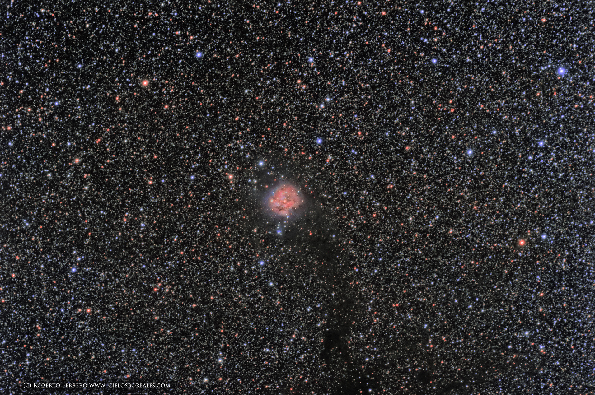 IC5146, Nebulosa Cocoon