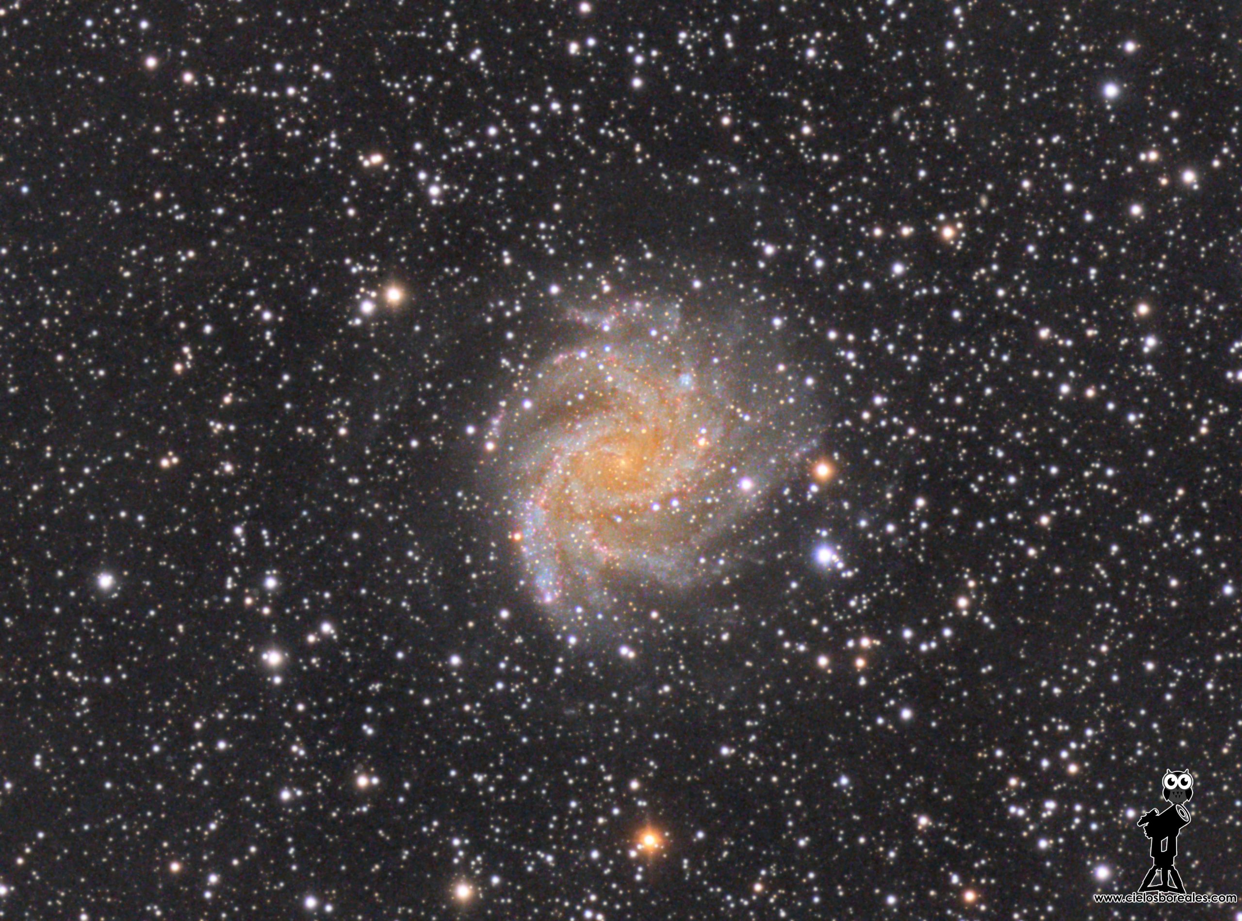 NGC6946 Galaxia de los fuegos artificiales