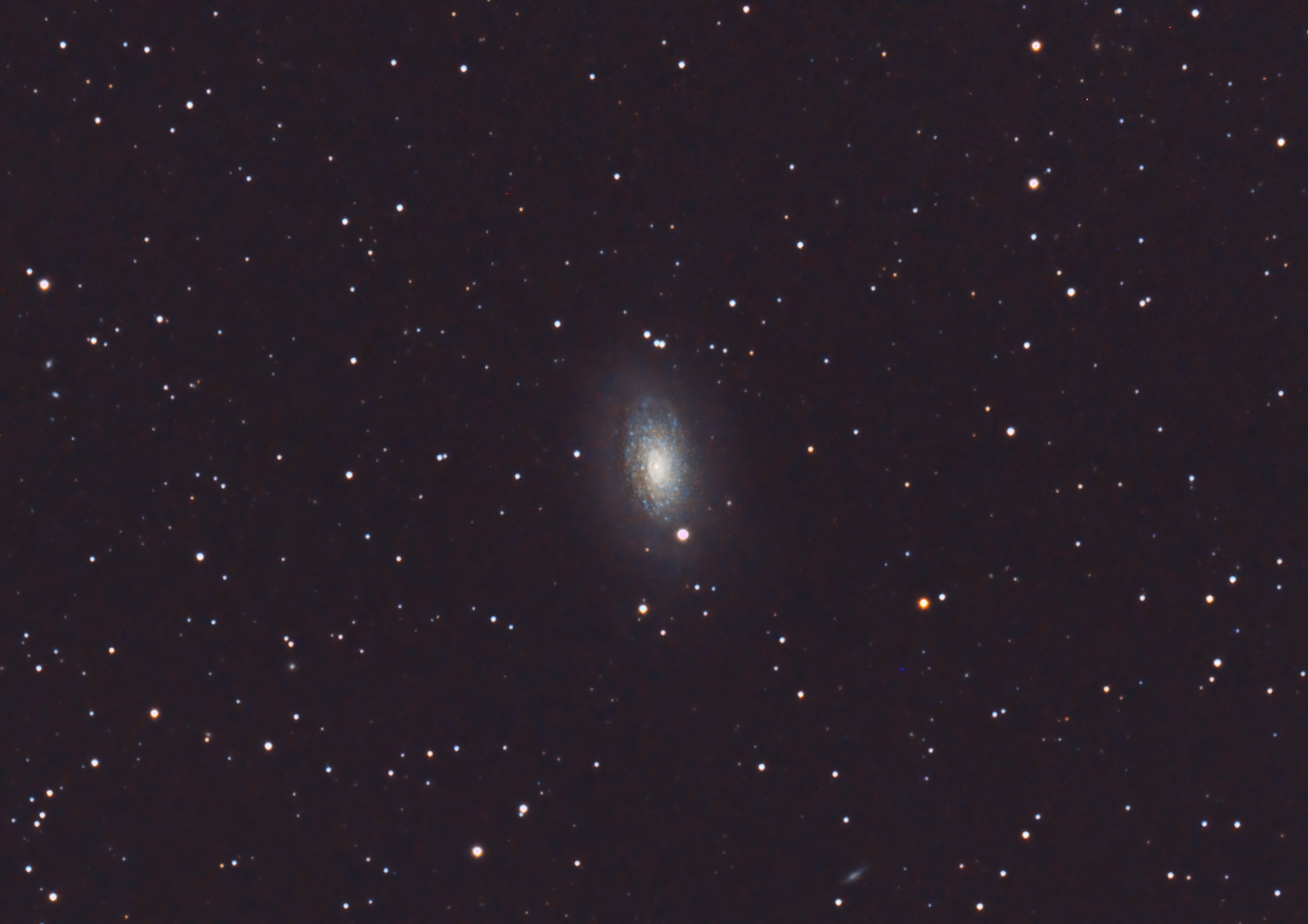 M63 Galaxia del Girasol